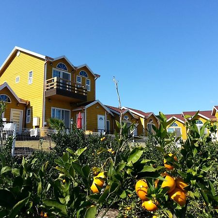 Healing House Villa ซอกวีโพ ภายนอก รูปภาพ