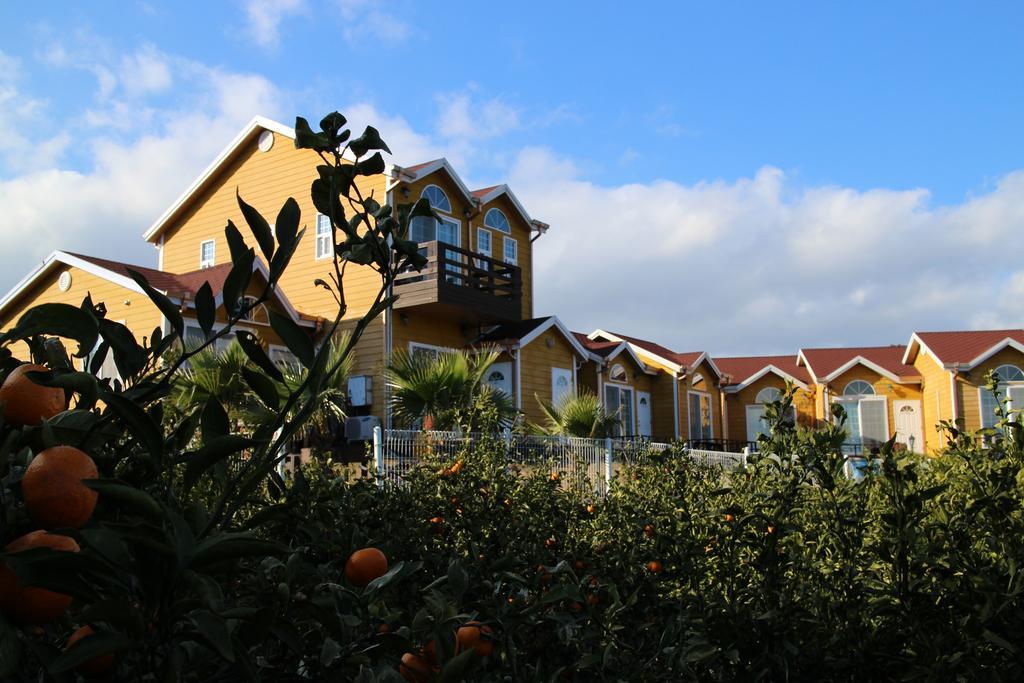 Healing House Villa ซอกวีโพ ภายนอก รูปภาพ